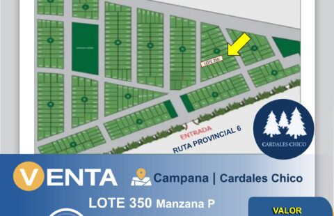 LOTE EN VENTA-CARDALES CHICO
